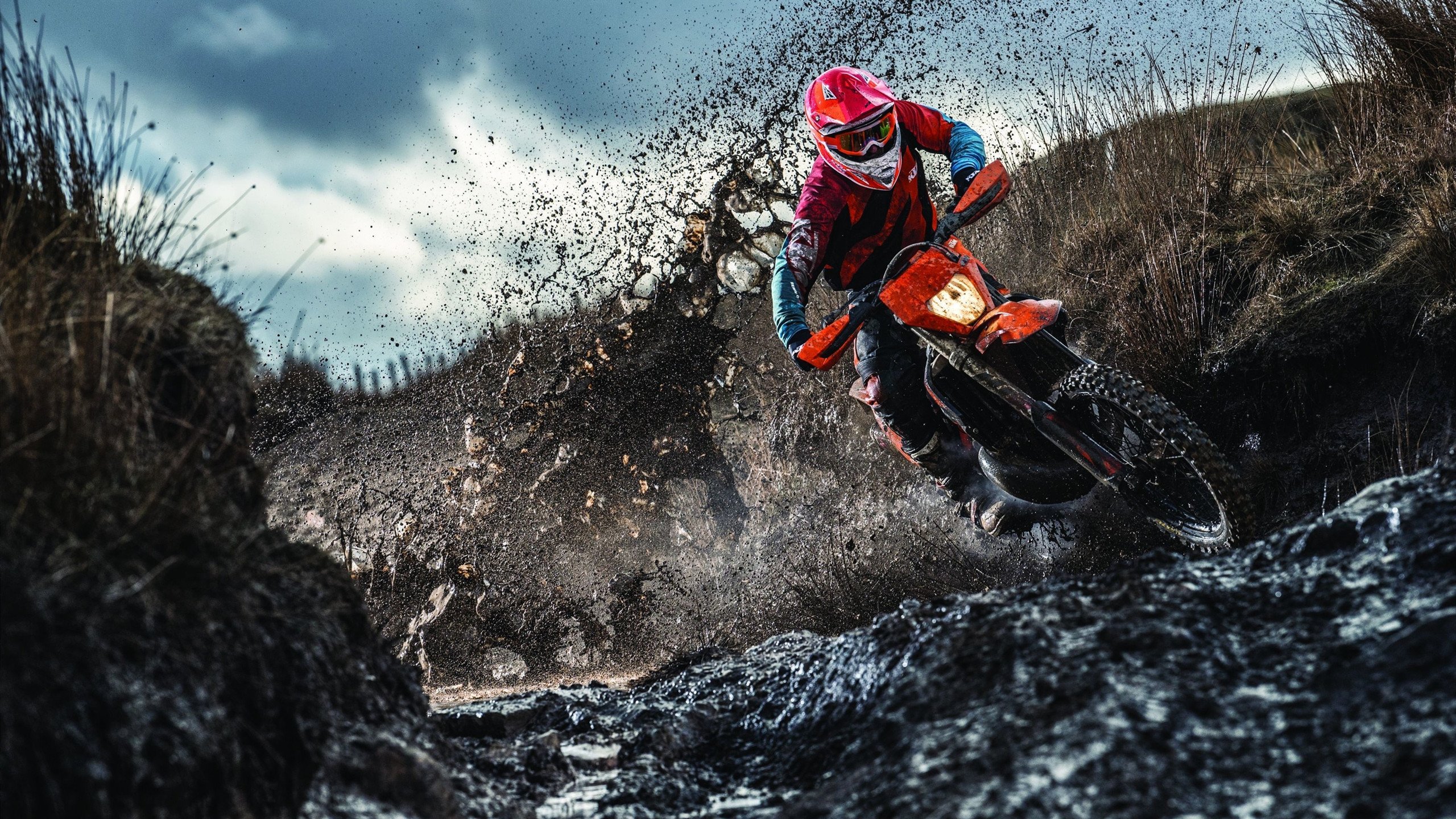 国王前锋被任命为国际残奥会宣传大使,国际残奥会首位国际残奥大使