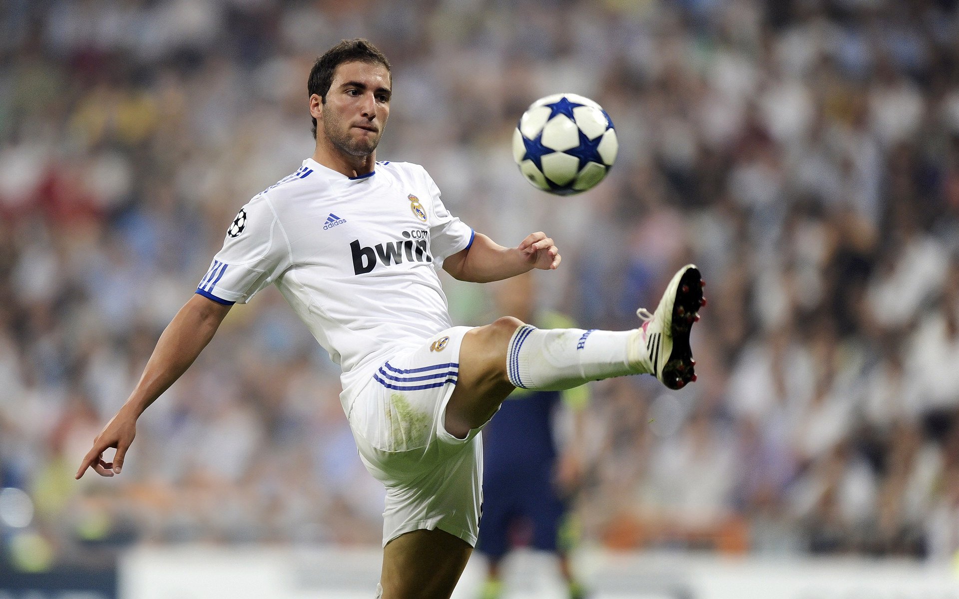 球队内部矛盾频发，大将宣布退出训练，球员dame